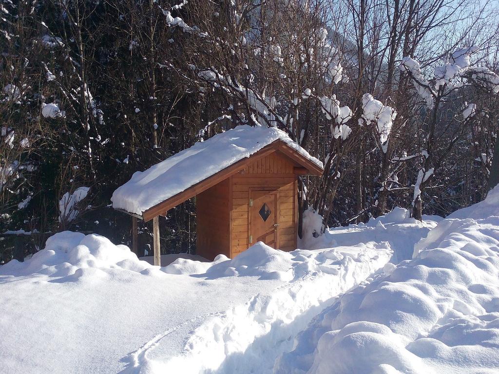 Waldhaus Apartment Sankt Martin am Tennengebirge Luaran gambar