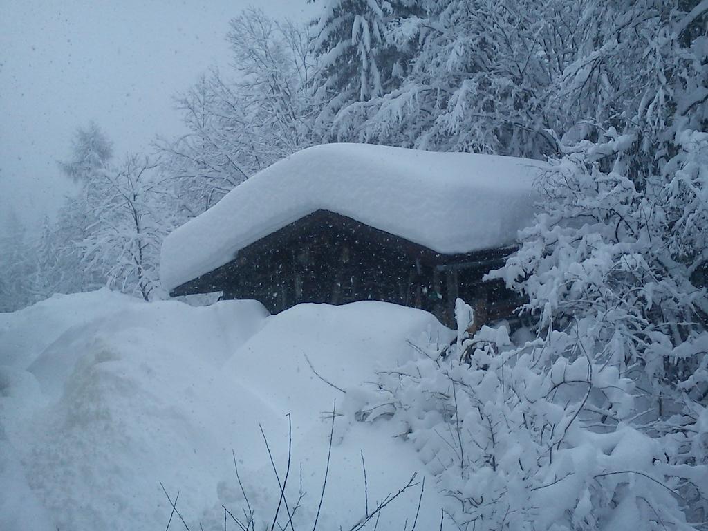 Waldhaus Apartment Sankt Martin am Tennengebirge Luaran gambar