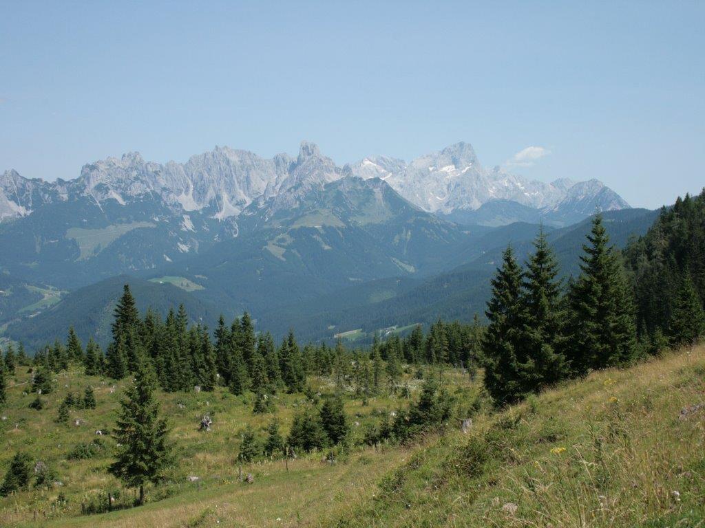 Waldhaus Apartment Sankt Martin am Tennengebirge Luaran gambar