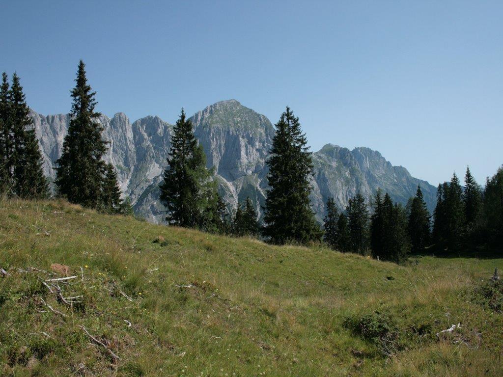 Waldhaus Apartment Sankt Martin am Tennengebirge Luaran gambar